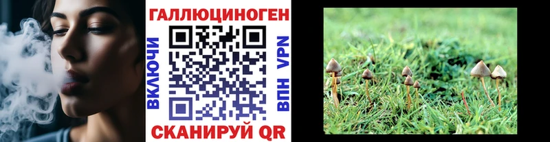 Галлюциногенные грибы Psilocybe  Межгорье 